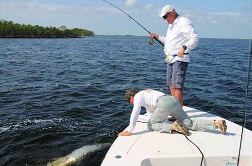 Jerry Ault, professor and chair of marine ecosystems and society at the Rosenstiel School, enjoys tarpon sport fishing in Florida and the Caribbean.