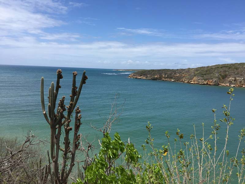 A scenic view of Guanica Bay, which researchers have determined has high levels of contamination from PCBs.