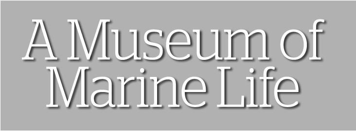 A Museum of Marine Life