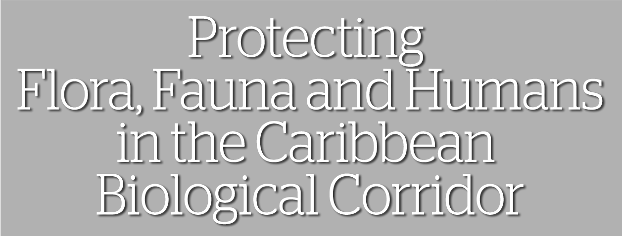 Protecting Flora, Fauna and Humans in the Caribbean Biological Corridor